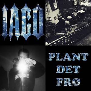 Plant Det Frø (Explicit)