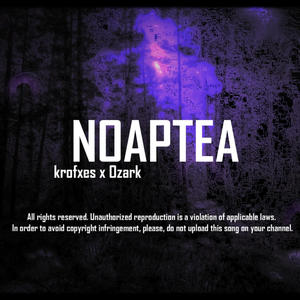 NOAPTEA (feat. Ozark) [Explicit]