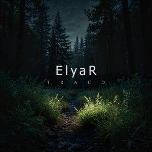 Traced (Radio Edit)