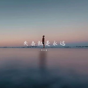 是我停留了那段回忆