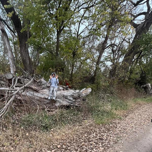 Let's Do It (Explicit)