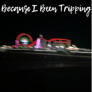 Because I Been Tripping EP (Explicit)