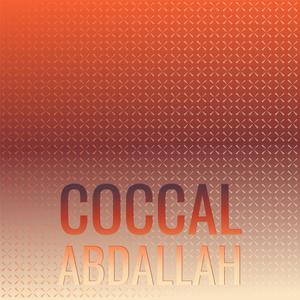 Coccal Abdallah