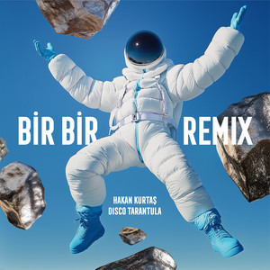 Bir Bir (Disco Tarantula Remix)