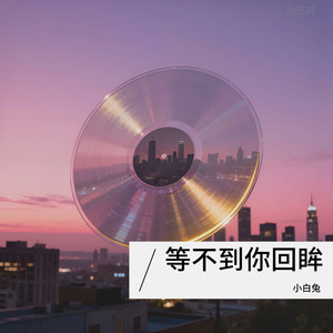 等不到你回眸 - 小白兔封面