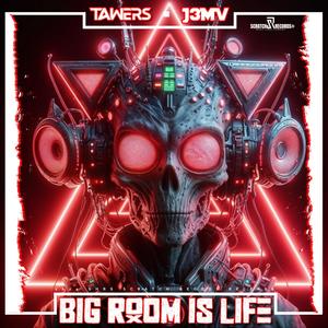 Big Room Is Life