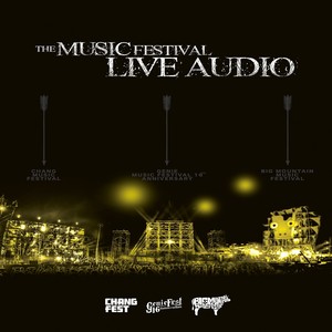 THE MUSIC FESTIVAL LIVE AUDIO