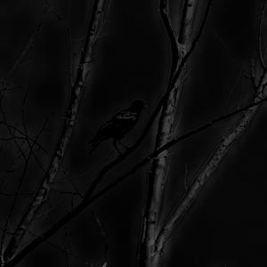 DIDN'T THINK. // HOW COULD YOU. (Explicit)