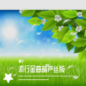 爱的世界只有你葫芦丝