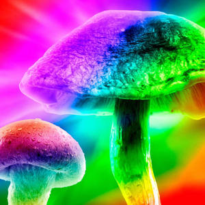 MUSHROOMS (432hz) [Explicit]