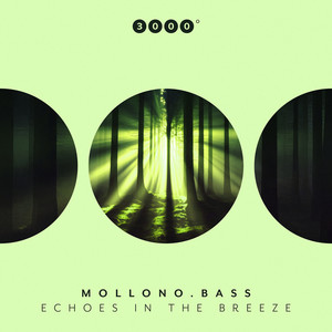 Echoes In The Breeze