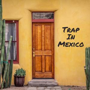 Trap In Mexico (feat. Mute Davinci) [Explicit]