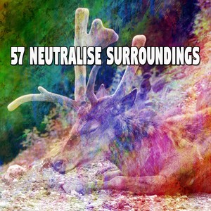 57 Neutralise Surroundings