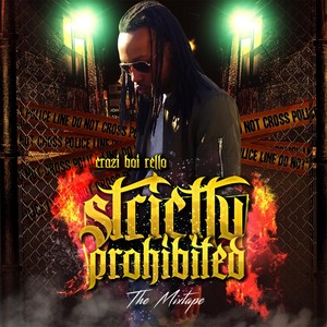 Strictly Prohibited: The Mixtape (Explicit)