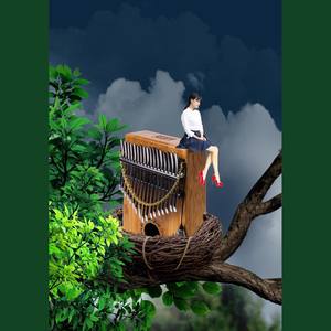 红河谷（拇指琴卡林巴）