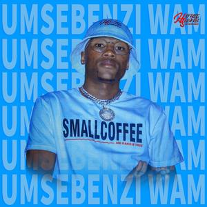 Umsebenzi Wam (feat. Nontuthuzelo & Fantario)