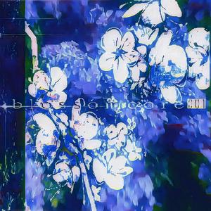 EXplØd3d__BØDY__ANA L Y S i S ! ! ! (˶ˆᗜˆ˵)