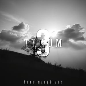 Traum 3 (Explicit)