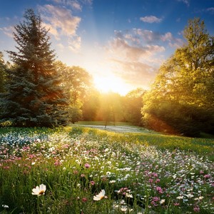 Sinking Deeper Into Peaceful Sleep