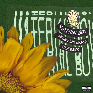 Material Boy (Ricky Desktop Remix) [Explicit]