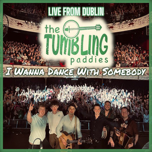 I Wanna Dance With Somebody