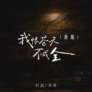 我恨苍天不成全 (新版)