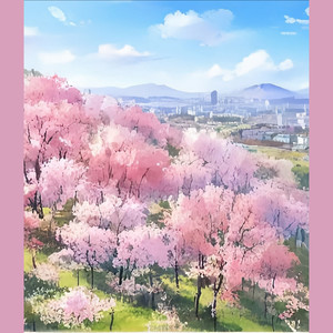 又是一年樱花开