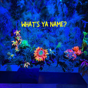 What's ya name?