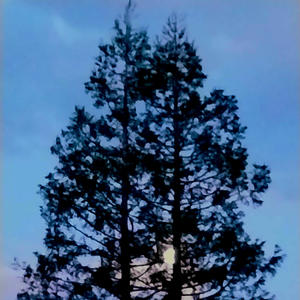 What end! (feat. M!das) (Explicit)