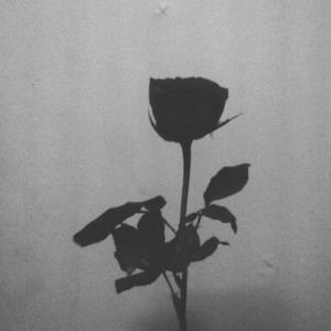 a different kind of heartbreak.