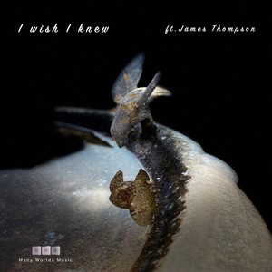 I Wish I Knew (feat. James Thompson)