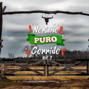 Norteño Puro Corrido Vol. 2