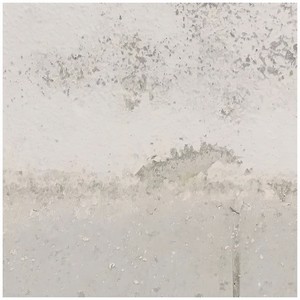 Degradation Loops #7