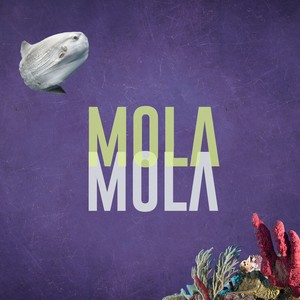 Mola Mola