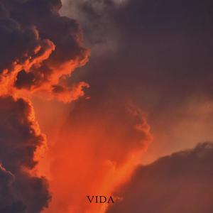 Vida