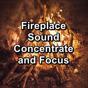 Fireplace Sound Concentrate and Focus