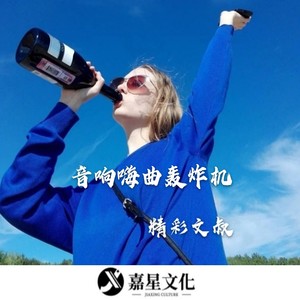 上头潮音干声旋律混搭 (Remix)