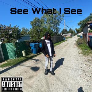 See What I See (Explicit)