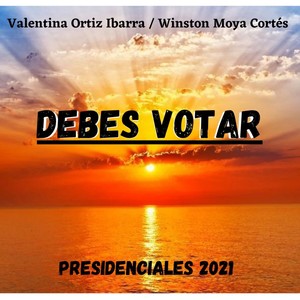 Debes Votar