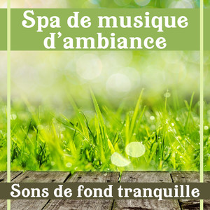 Spa de musique d'ambiance: Sons de fond tranquille - Zen asiatique pour la détente, La thérapie de massage, Sérénité ambiante, Pensée positive