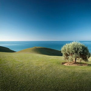 A Quiet Walk Through The Still Forest