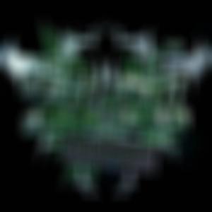 ZAZA (feat. Leung Lo) (Explicit)