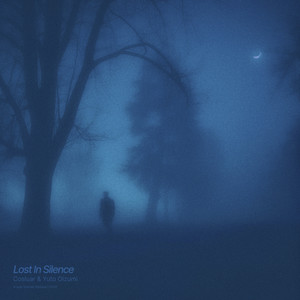 lost in silence