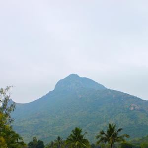 Varamu