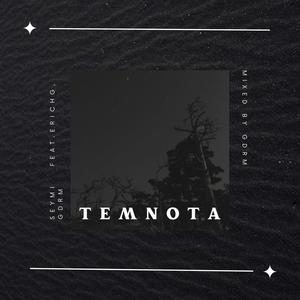 Temnota (feat. ErichG & GDRM) [Explicit]