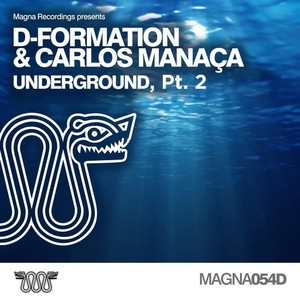 Underground (Vlada Asanin & Frank Kid Remix)