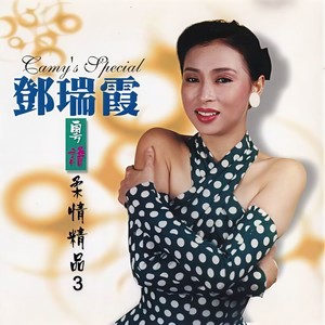 桃花江 - 邓瑞霞封面