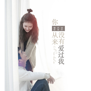 糖果树 - 你从来没有爱过我 (男声伴奏)