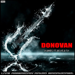 Donovan - Daddy You're Been On My Mind (Live)