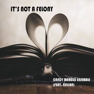 It's Not A Felony (feat. Kellian)